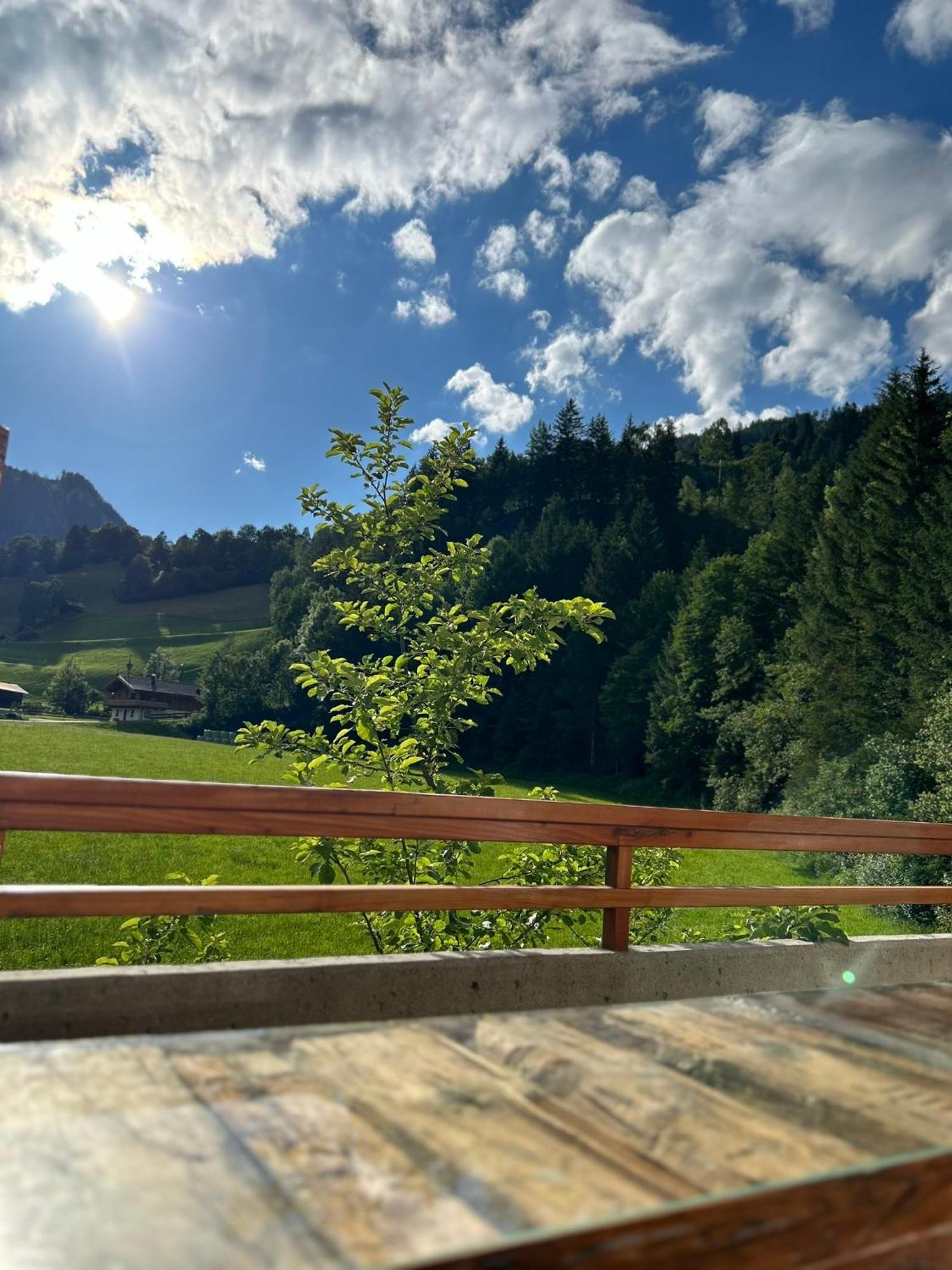 Bergblick Apartment Wald im Pinzgau Exterior foto